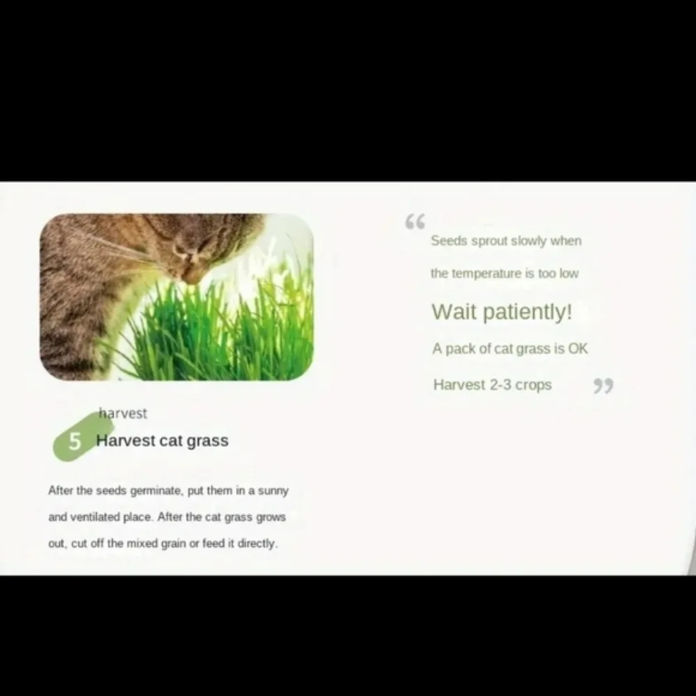 Organic Hydroponic Soil‎ Free Cat Grass Box Cat Nip Blue and White NWT